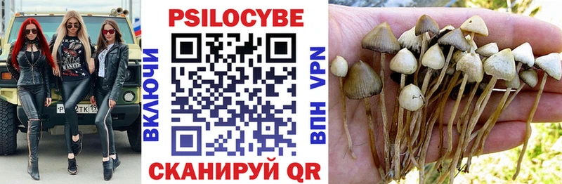 Галлюциногенные грибы Magic Shrooms Новомосковск