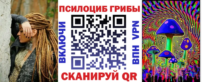 Галлюциногенные грибы Psilocybe  Купить закладки  Новомосковск 